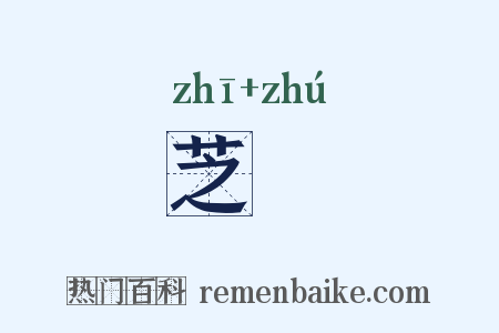 芝朮是什么意思的图片
